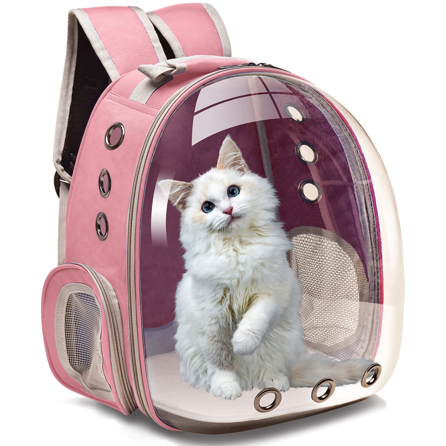 Transparent Cat Carrier Backpack